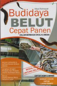 Budi daya belut cepat panen