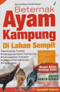 Beternak Ayam Kampung Di Lahan Sempit